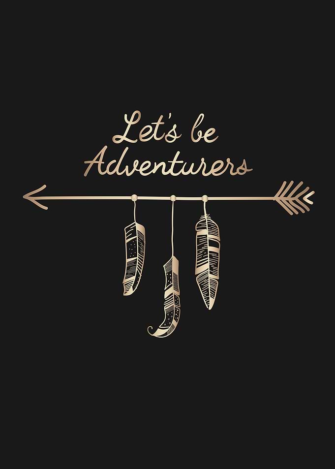 Traveller Quote