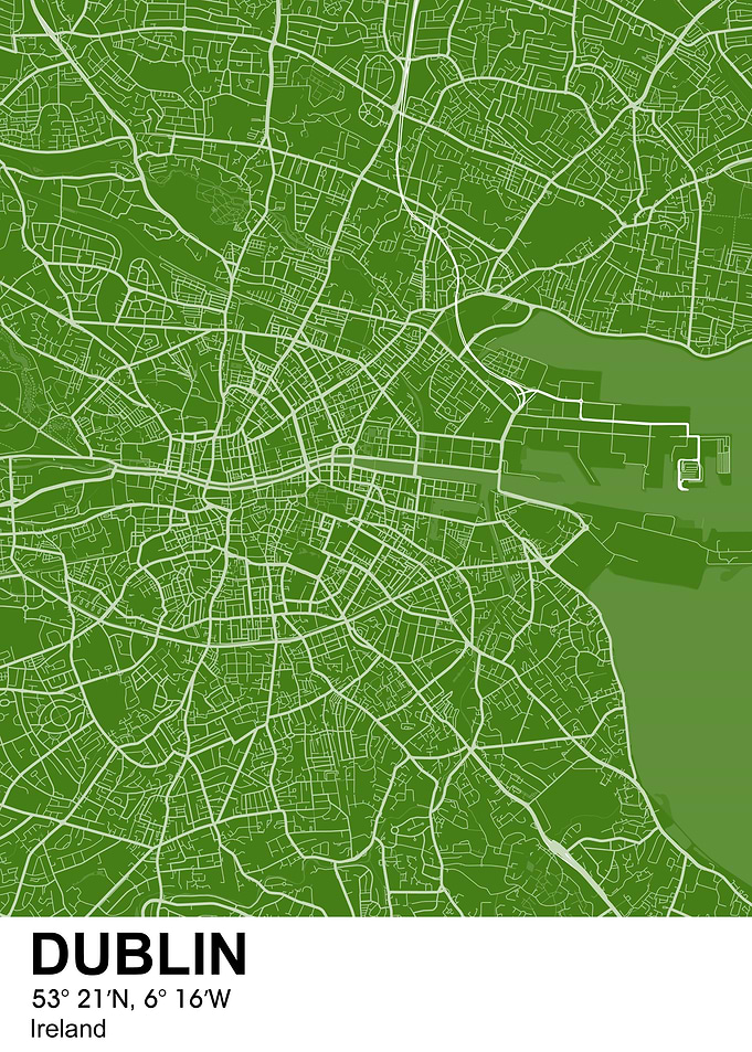 dublin color city map