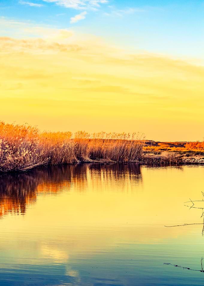 Hippo Creek