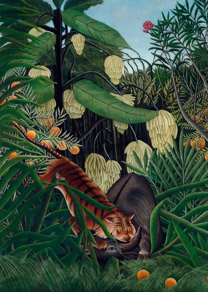 Tropical Fight
