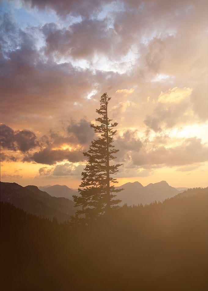 Burning Sky