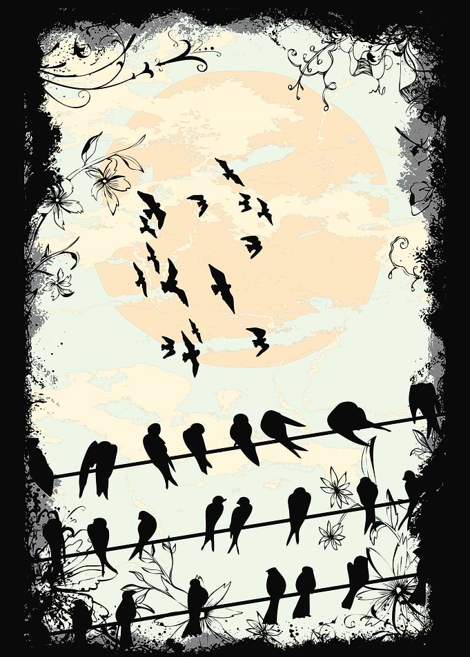 Grunge Bird
