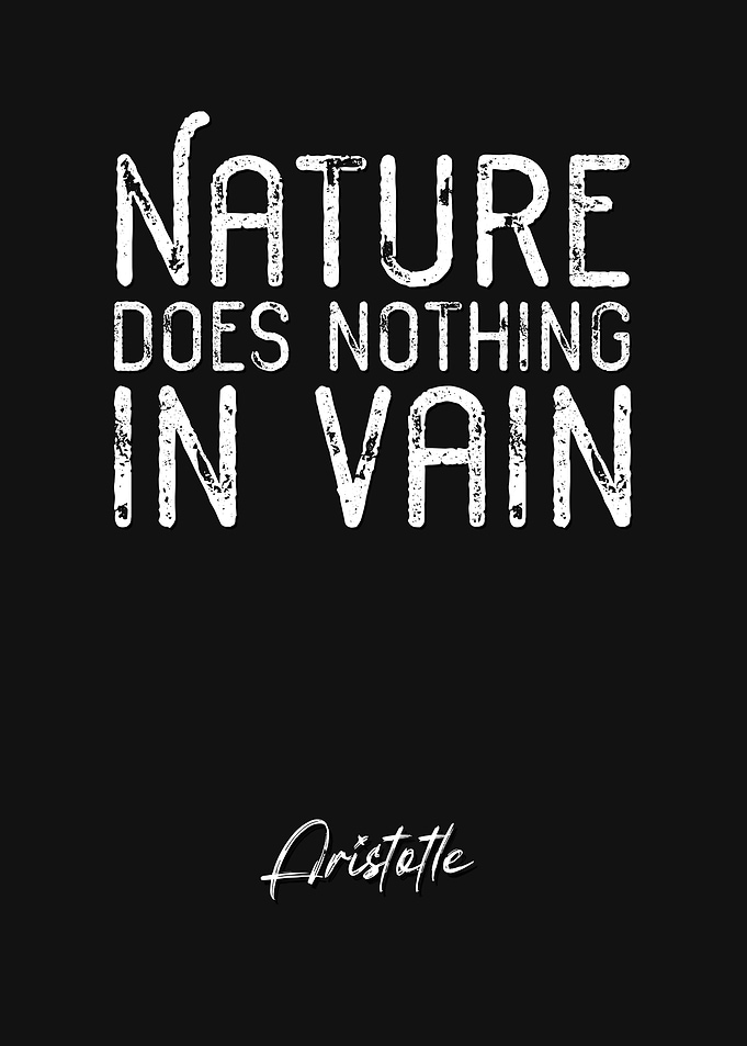 Aristotle Quote 1