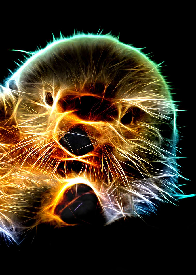 Otter fractal