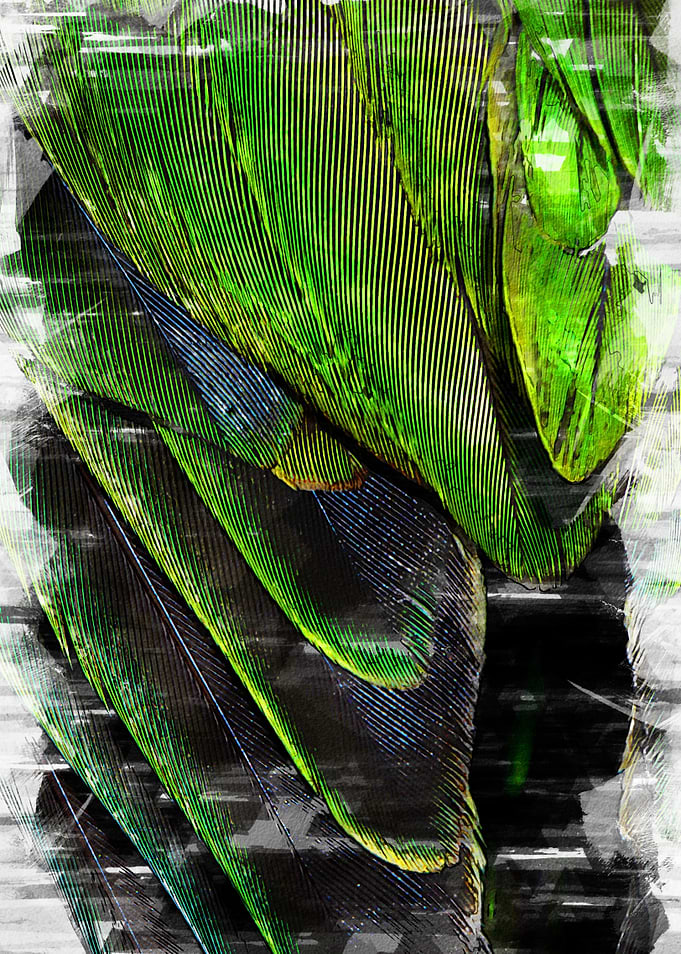 Green Chromatic Feathers 1