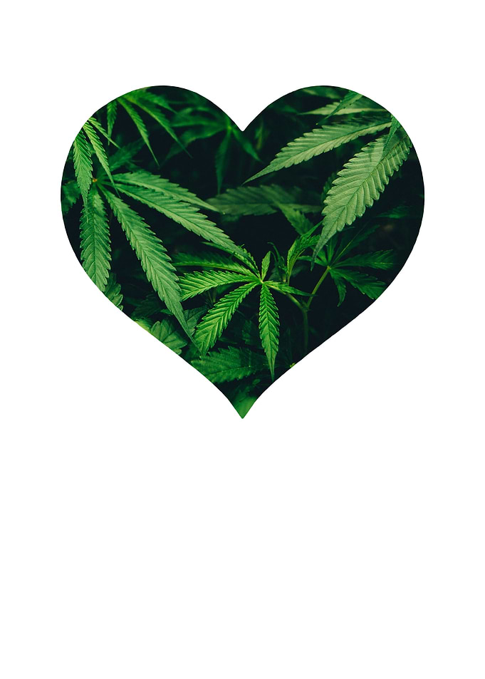 Sweedheart