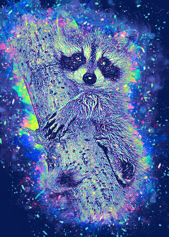 Racoon
