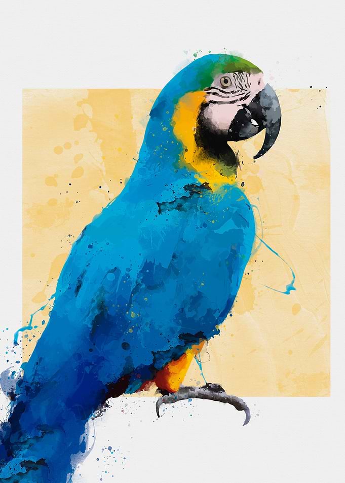 Macaw Ara ararauna