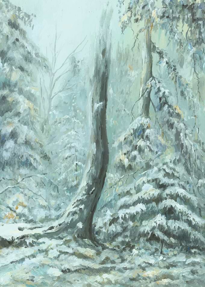 Winters scenery
