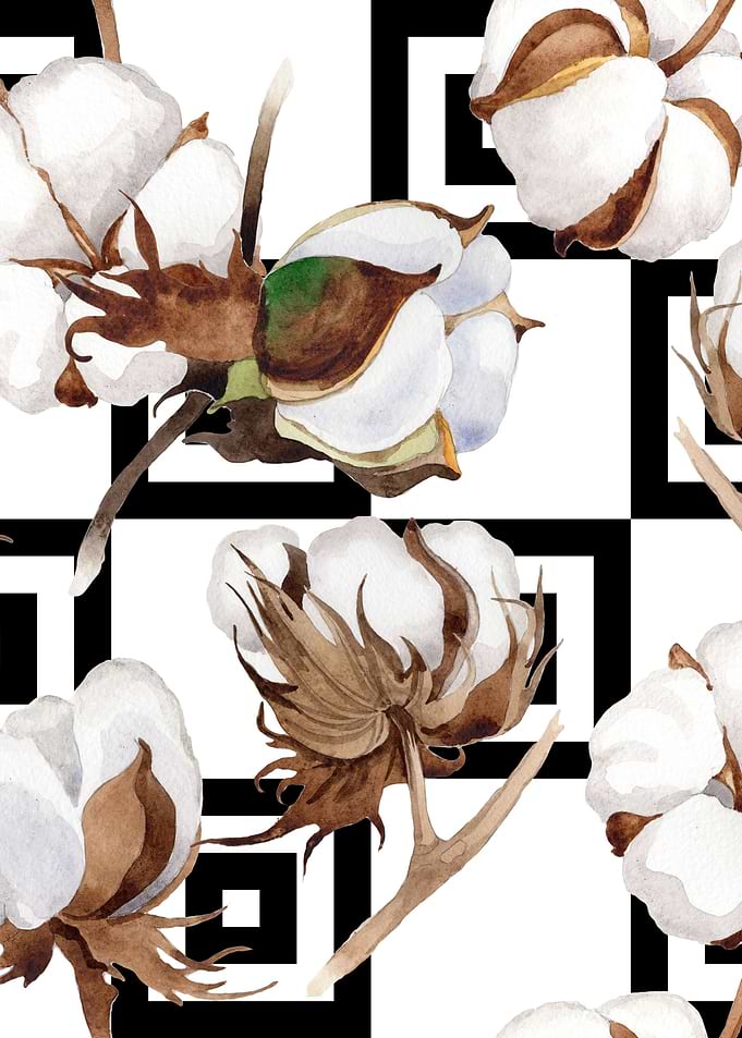 Cotton Flower Pattern 05