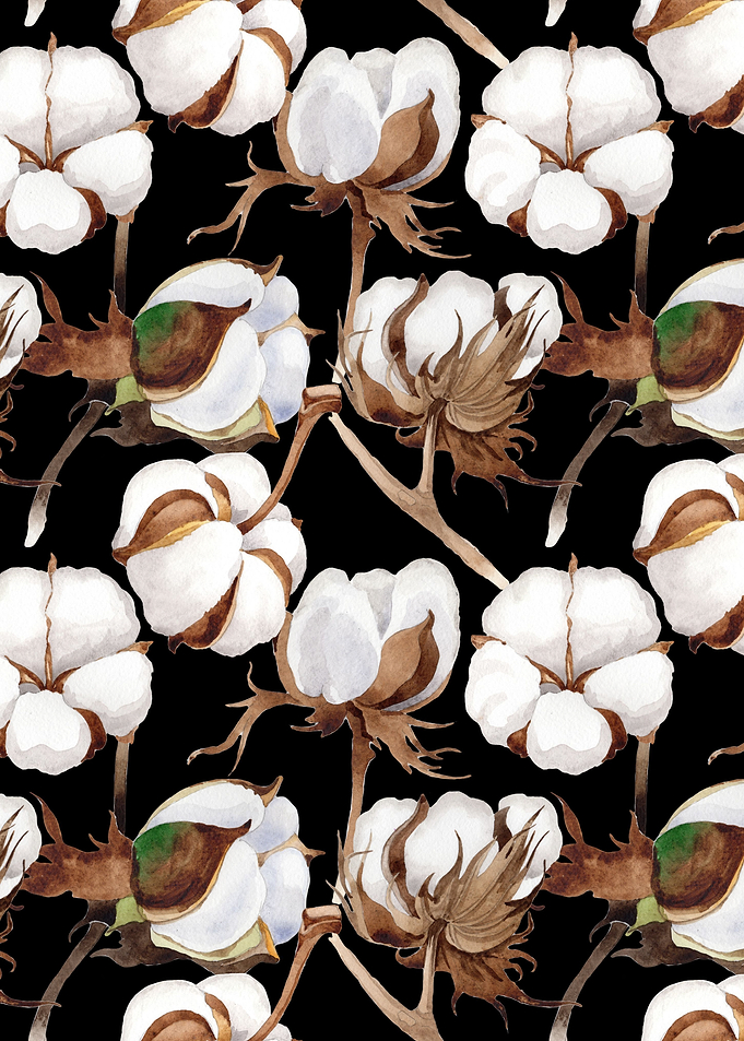 Cotton Flower Pattern 04