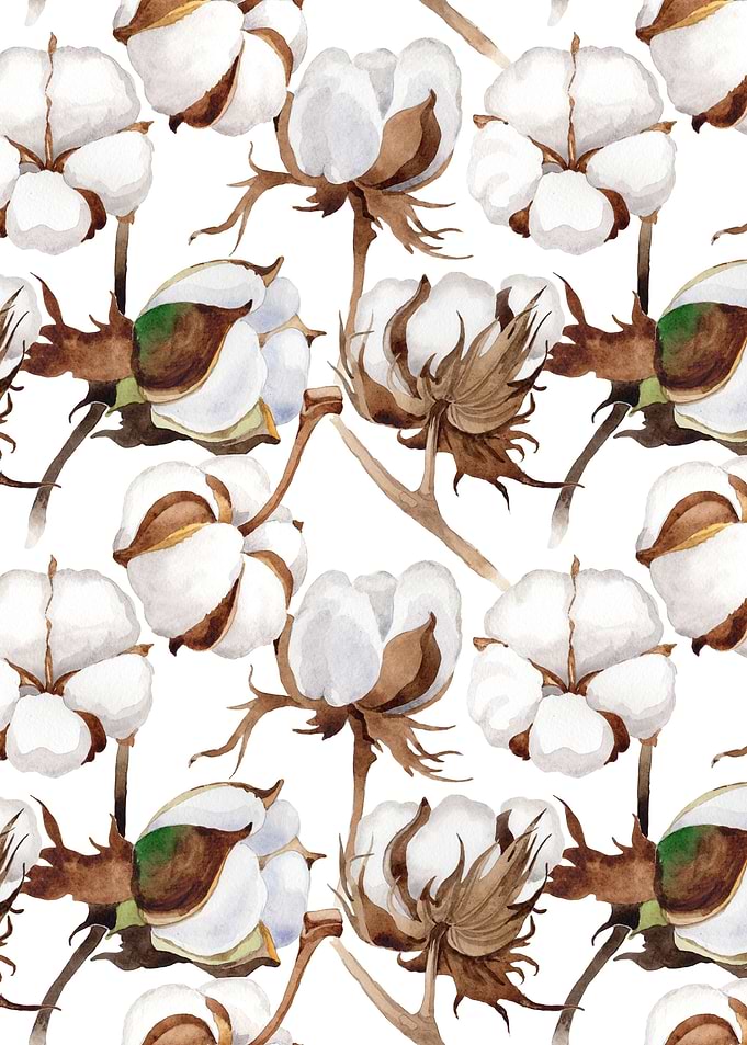 Cotton Flower Pattern 02