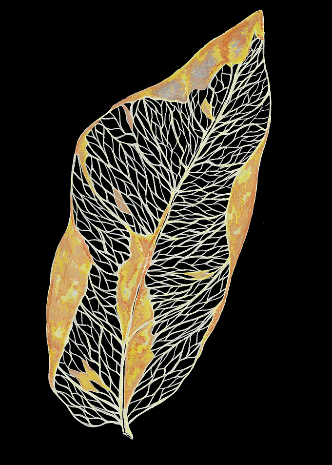 Dried Leaf 2