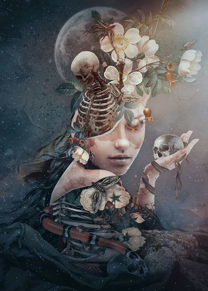 Moonlight beauty