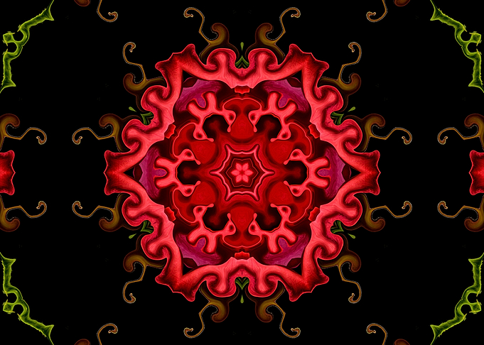 Red Rose Parts Mandala