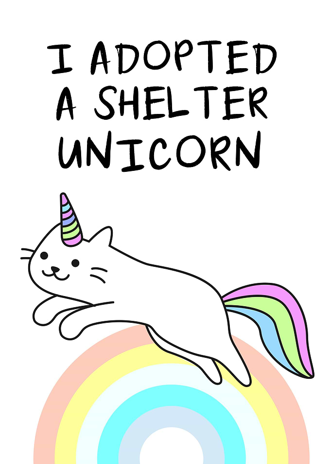 Shelter Unicorn Funny