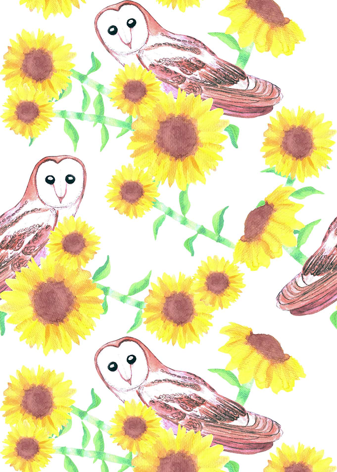 Barn owls and sunflowers