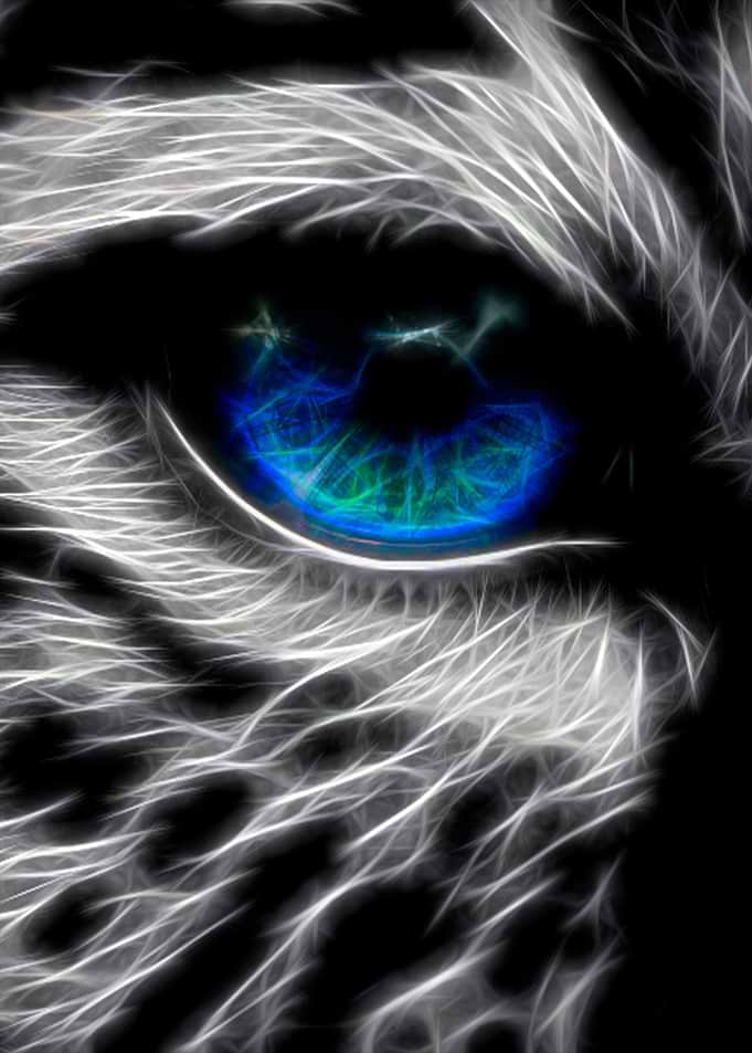 Animal eye fractal