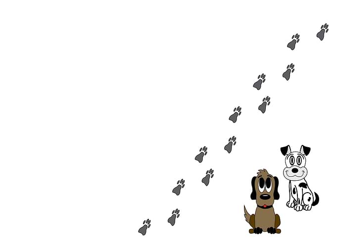 Dogs and puppy paws