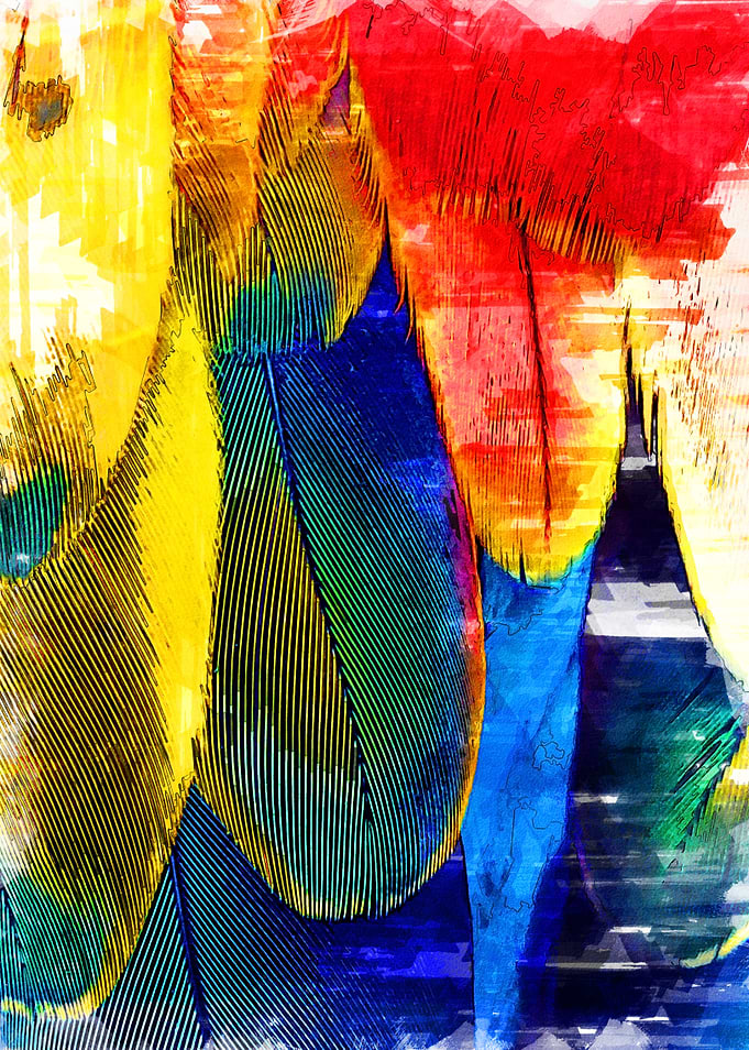 Close Chromatic Feathers 1