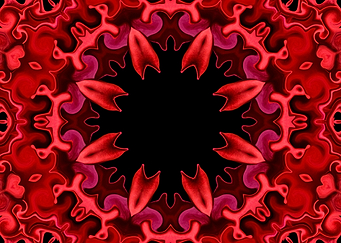 Red Rose Petals Mandala