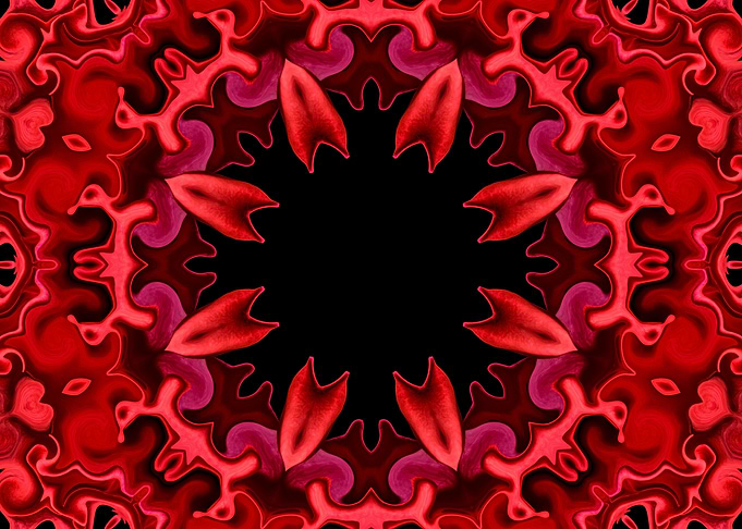 Red Rose Petals Mandala