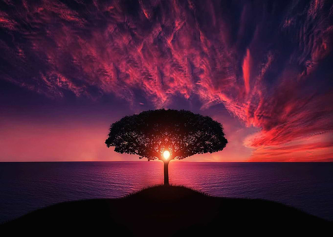 sun wood cloud