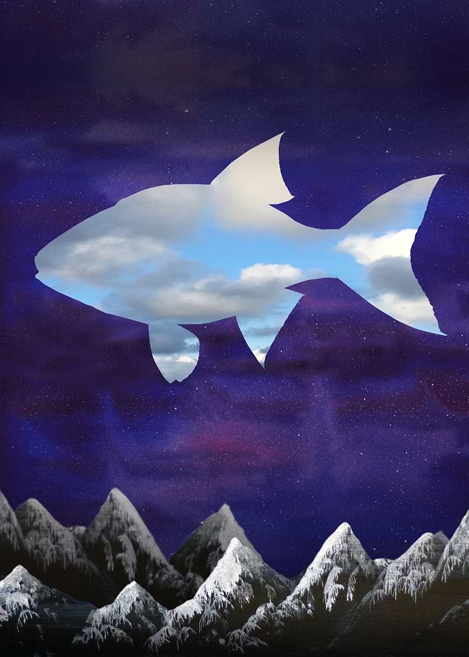 Night fish