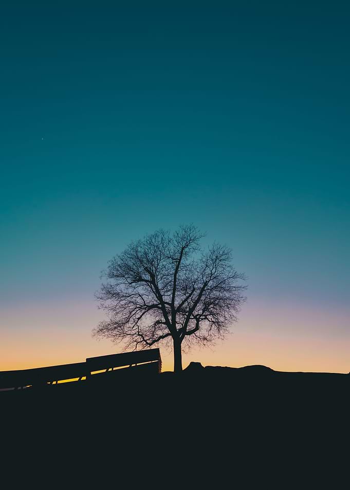 On top of the hill