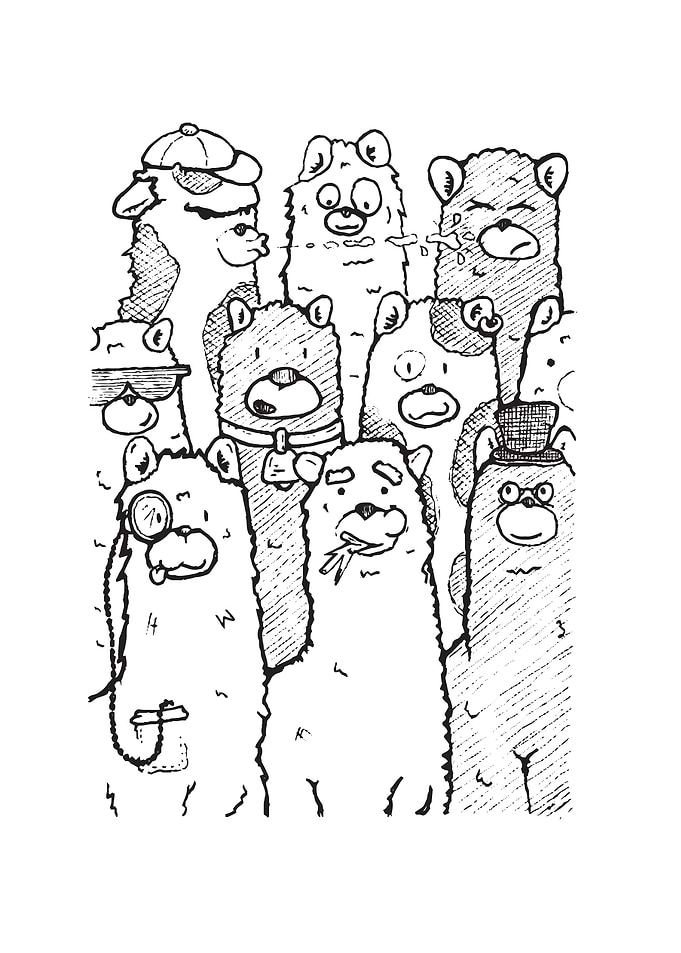A herd of llamas