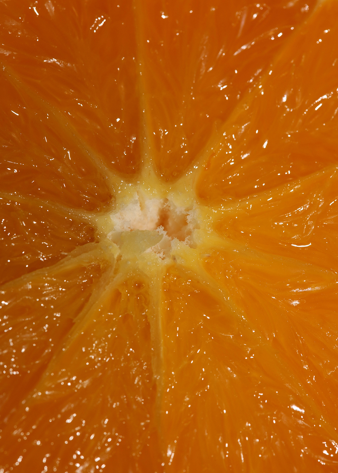 Orange fruit macro prints