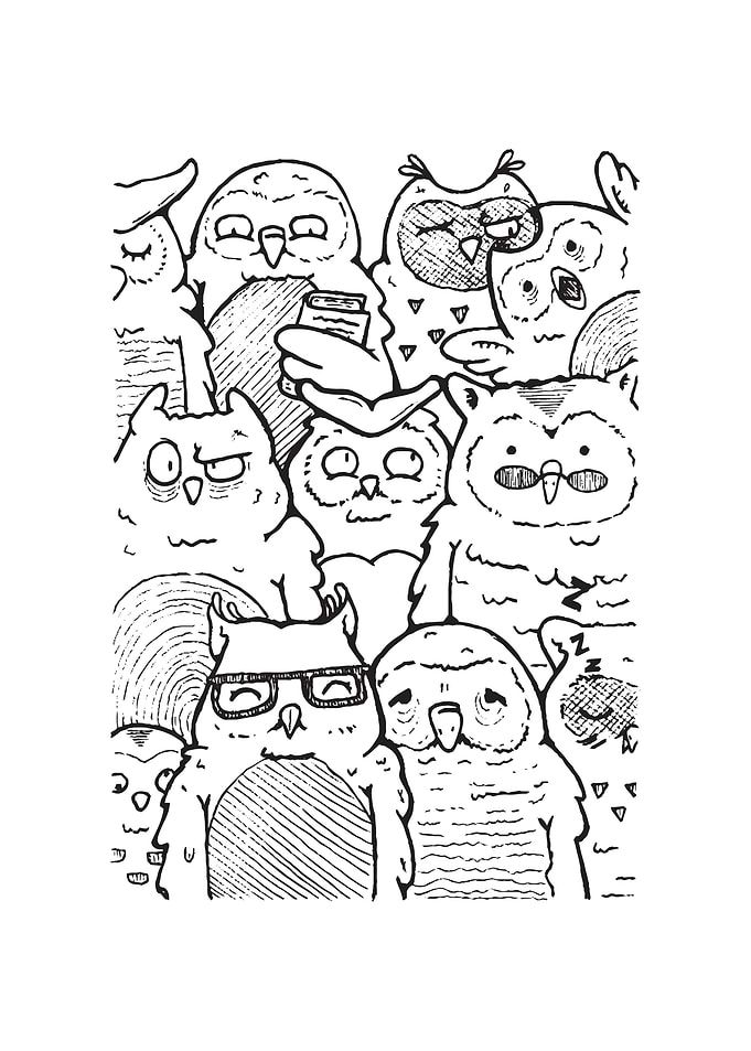A parlement of owls