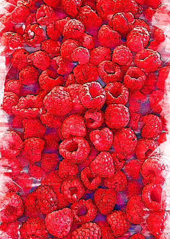 Fresh Red Raspberries