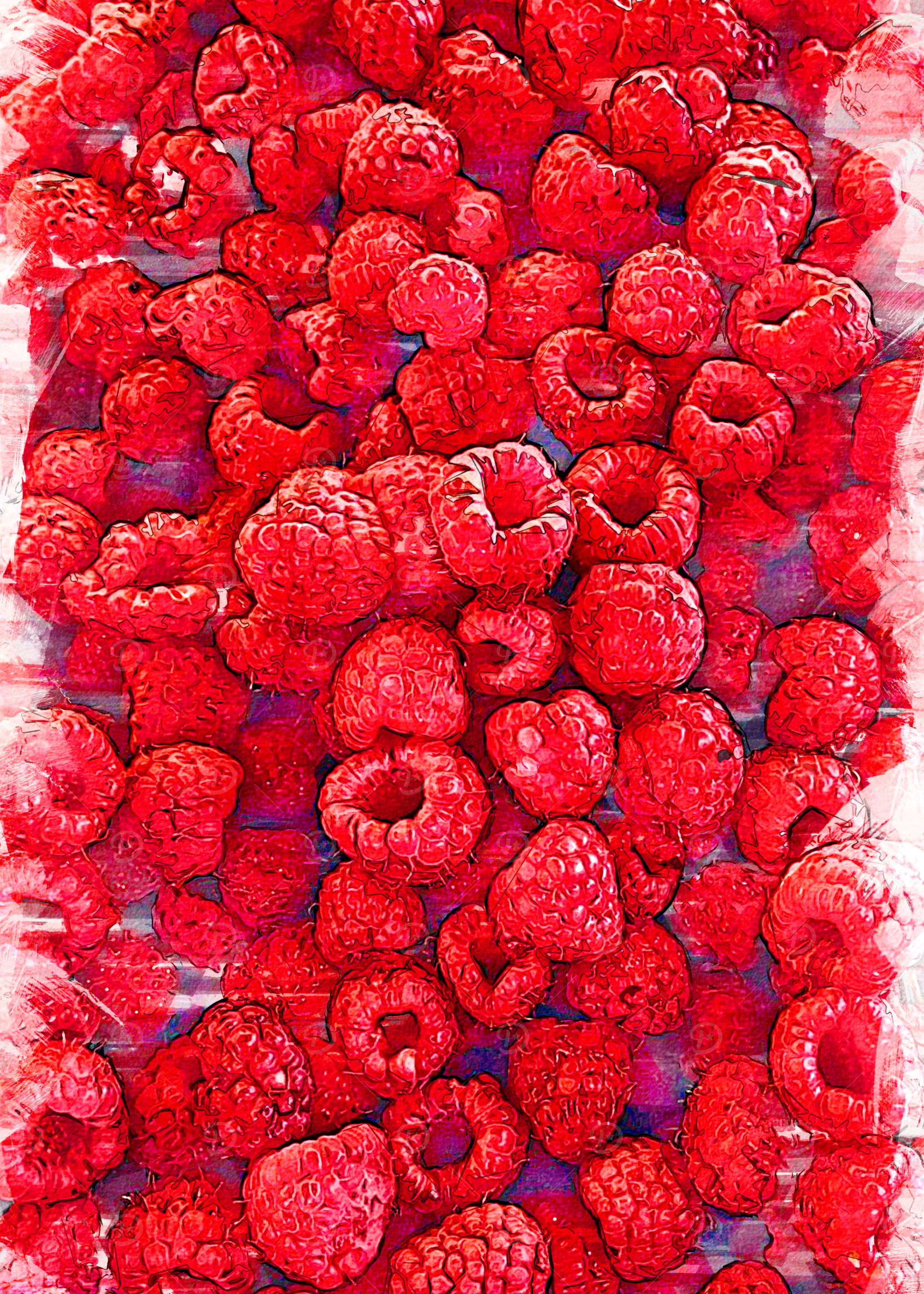 Fresh Red Raspberries