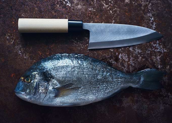 Food Fish Seafood