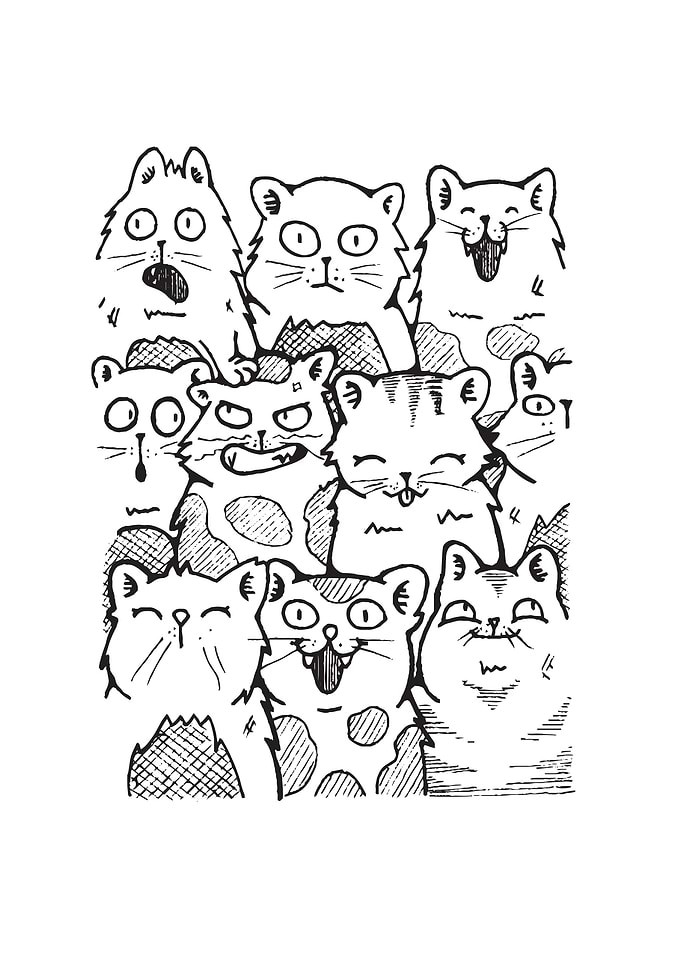 A clowder of cats