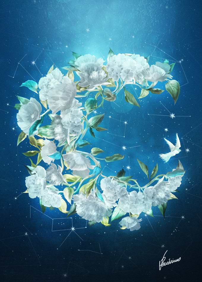 Moonlight Flowers