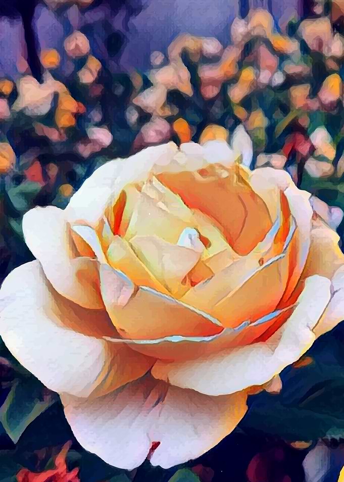 Single Yellow Rose