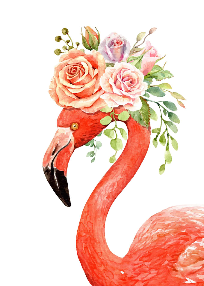 flamingo
