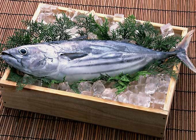 Food Fish Ice