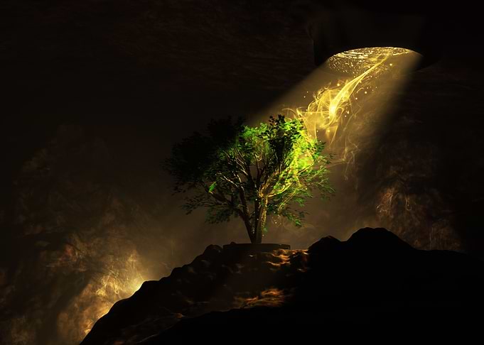 Tree of life