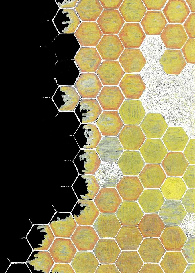 Honey