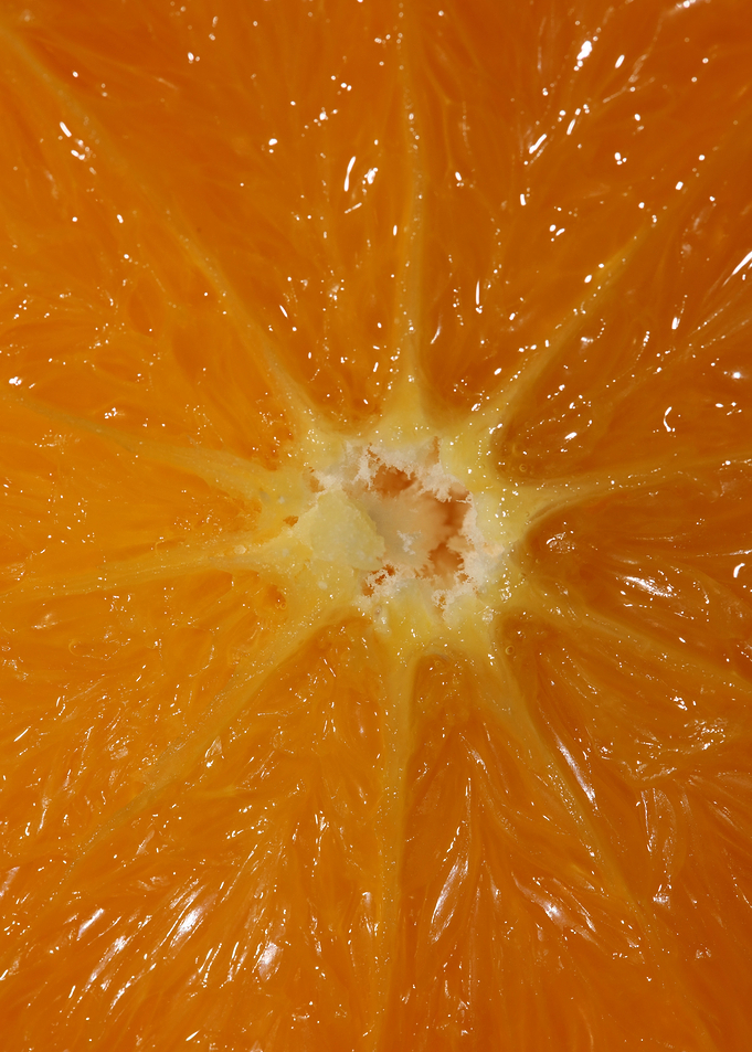Orange fruit macro prints