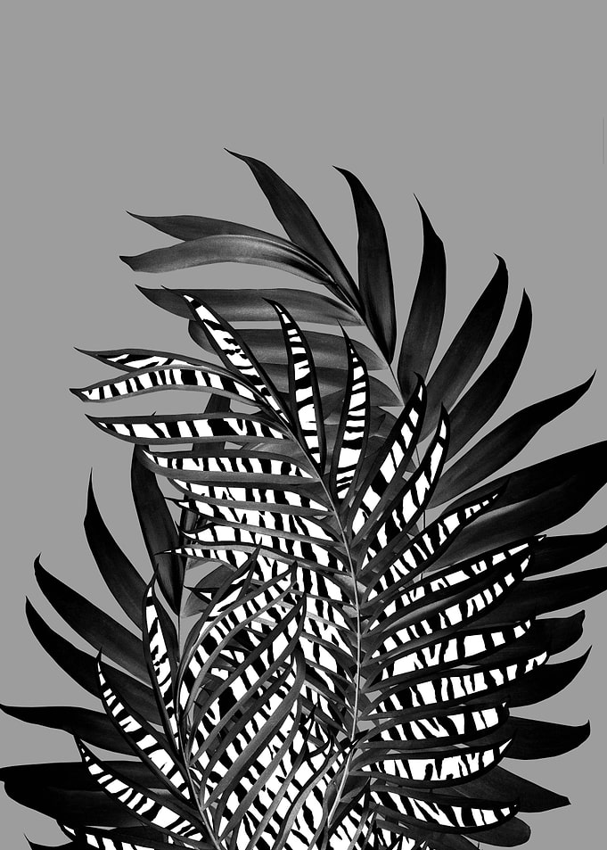 Palm Leaves Stripes Glam 1