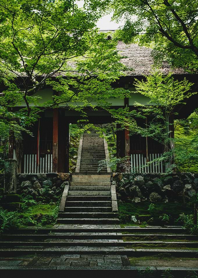 Japanese Gate