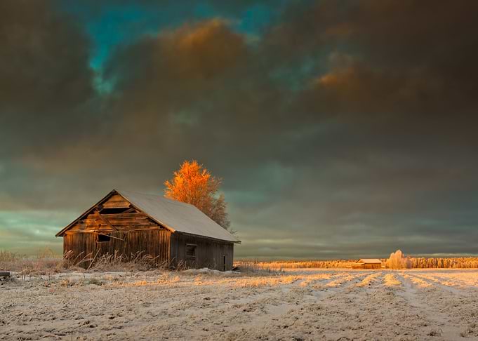 Golden Sunrise