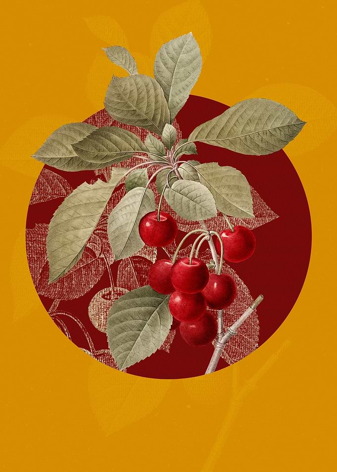 Vintage Cherry Painting