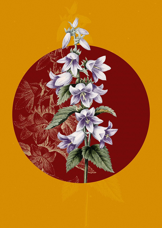 Vintage Bellflowers