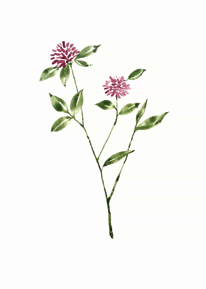 Floral