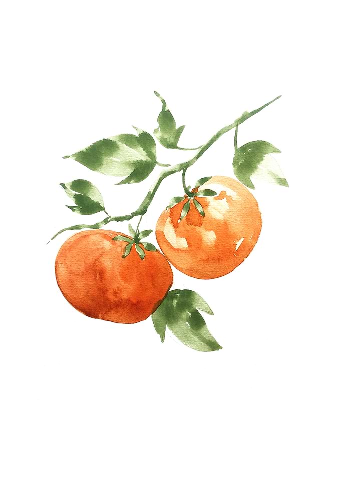 Botanical